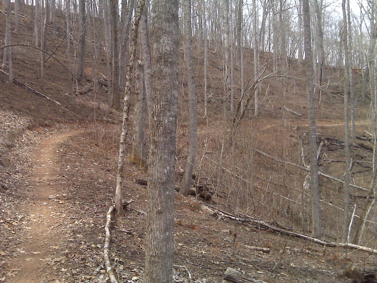 Home Again: Rediscovering Georgia's Trails After Racing Adventures