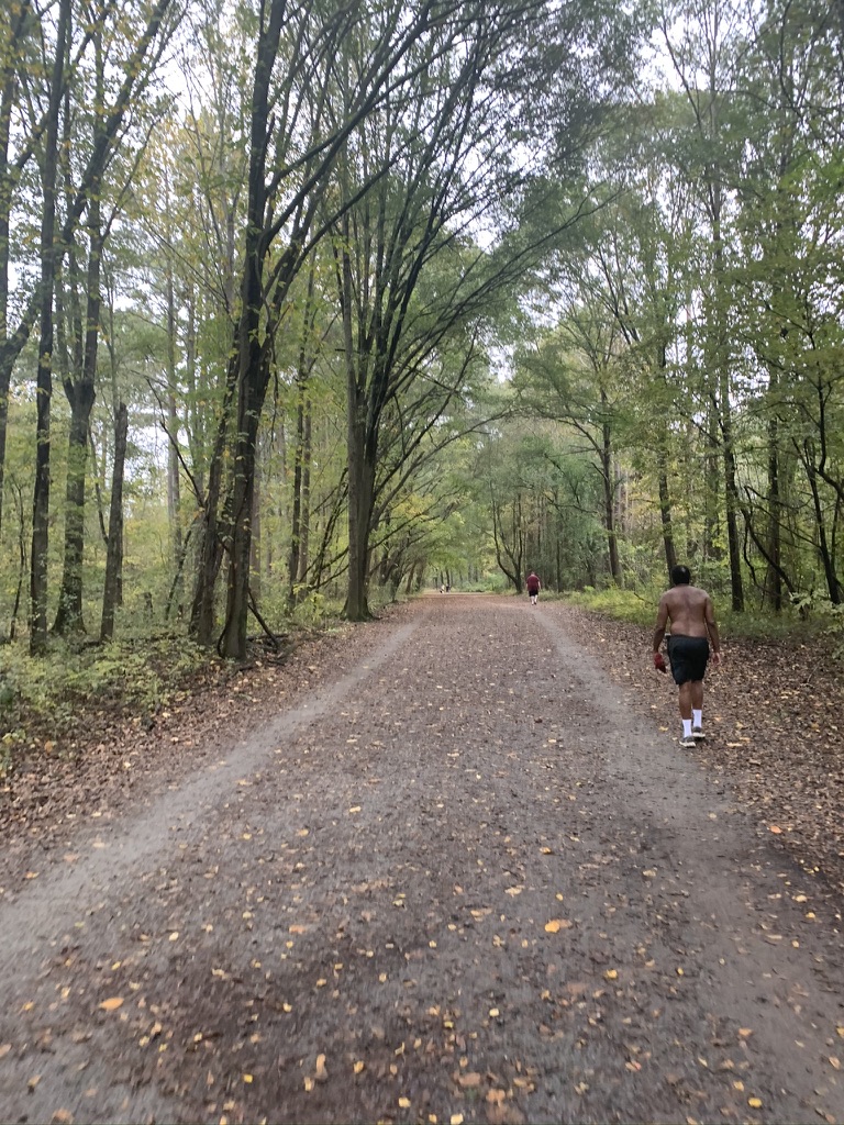 Trail Report: Sope Creek, Atlanta's Urban Singletrack Oasis